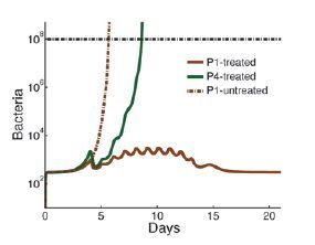 Neutrophil levels of three hypothetical patients with neutropenia. The patient with the "strong" neutrophils (P1) can overcome infections if treated with supportive medications. In contrast, the patient with the "weak" neutrophils (P4) cannot overcome even the minute bacteria load that comes from the gut. Source: the Journal of Clinical Investigation